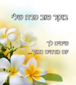 תמונת בוקר טוב ליום מדהים עם פרחים לבנים