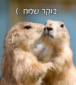 תמונה לבוקר שמח
