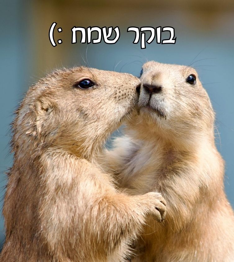 תמונה לבוקר שמח